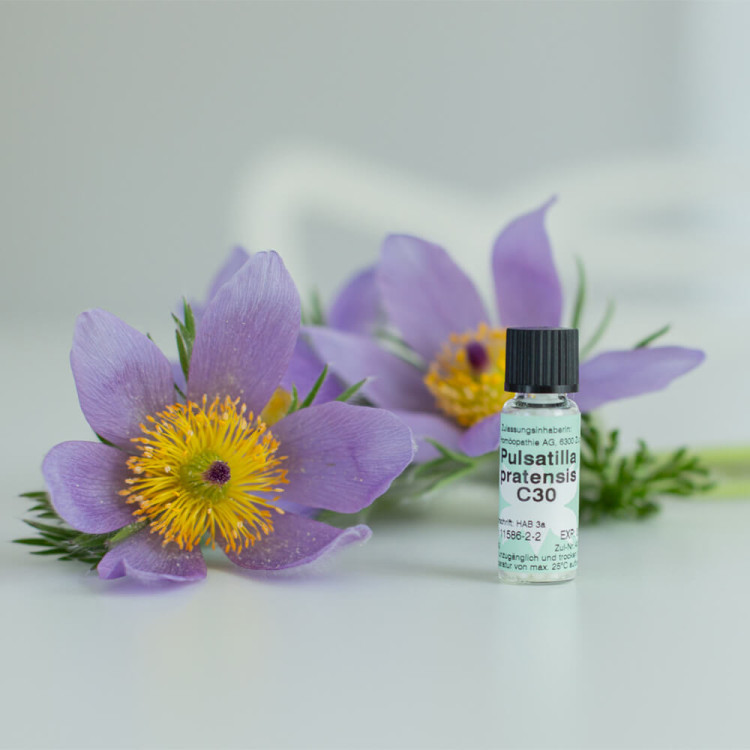 Foto Homöopathisches Arzneimittel, Pulsatilla
